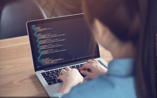 分宜 api php源码,下载的php源码怎么运行呢？